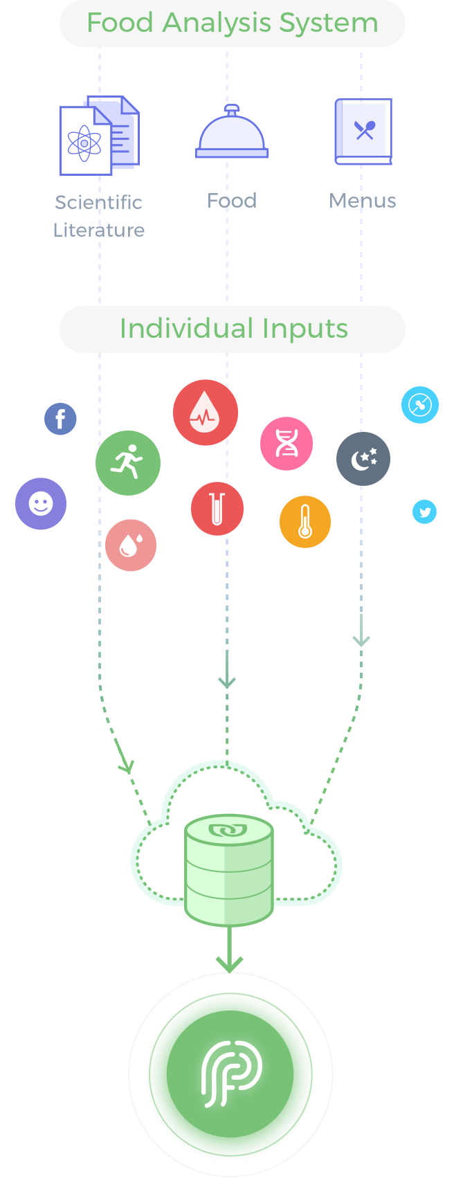 fp-diagram